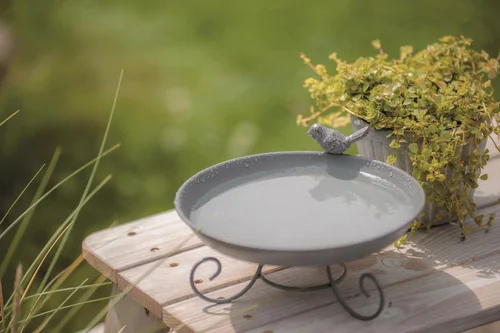Abreuvoir mangeoire pour oiseaux en métal à poser au sol Trixie - 800 ml