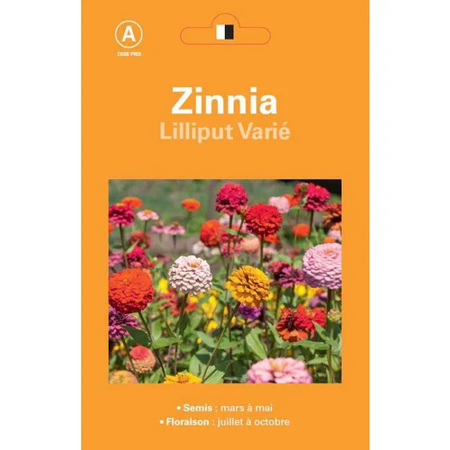 Graines de Zinnia Lilliput varié - graines à semer