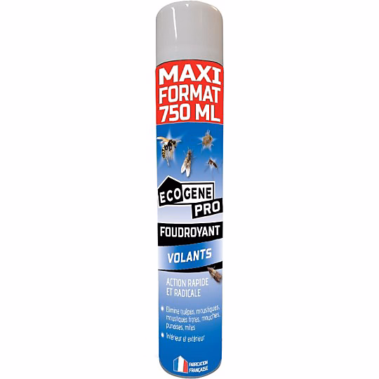 Aérosol foudroyant volants 750 ml maxi format ECOGENE – Réf. NKKYMIOHR5894844448
