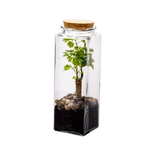 Terrarium quitto Bulle de Nature taille L Ø 10 x h 30 cm