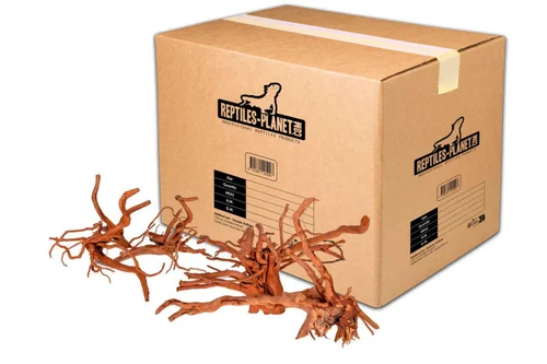 Décoration pour aquarium en bois racine araignée Reptiles Planet - Taille M (26 à 35 cm)