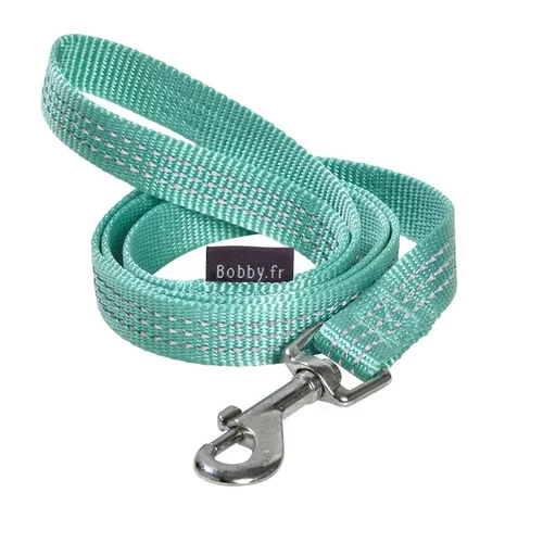 Laisse Safe 16 mm lagon