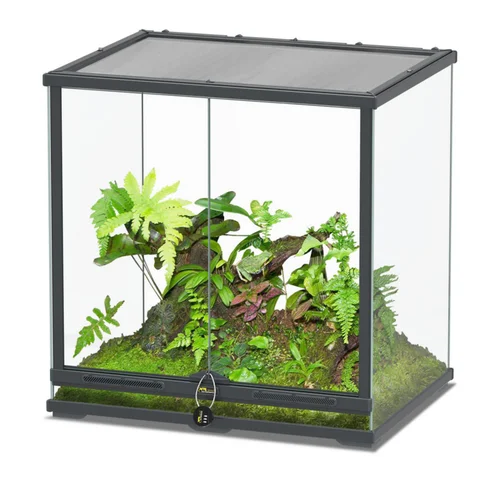 Terrarium coloris gris anthracite Terratlantis Smartline 60 - 60 x 45 x 60 cm