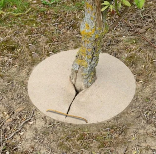 Cercle de chanvre coloris beige 800gr/m² - Ø 20 cm