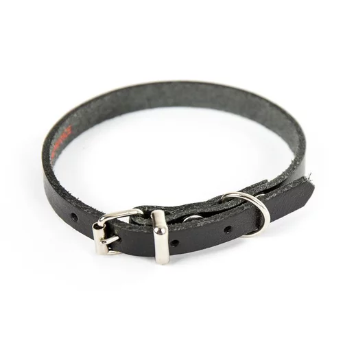 Collier en cuir noir pour chien 1,2x33 cm