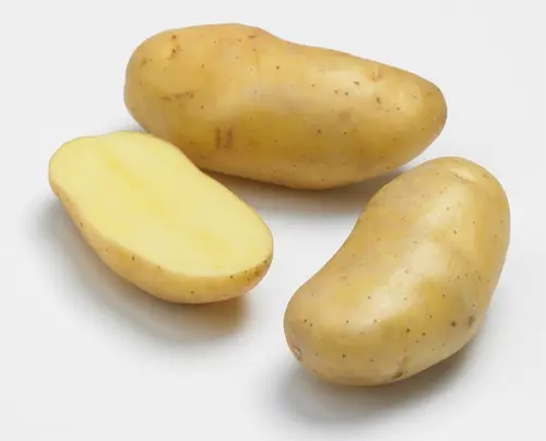 Sachet de pommes de terre delikatesse calibre 25/32 - 3 kg