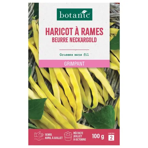 Graines de haricot à rames neckargold botanic® - graines à semer