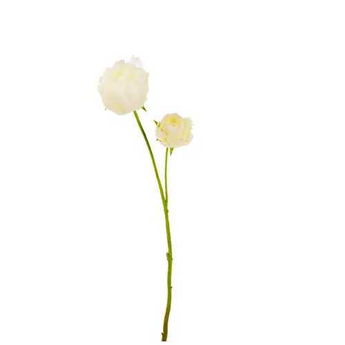 Pivoine artificielle blanche à 2 fleurs - 66 cm