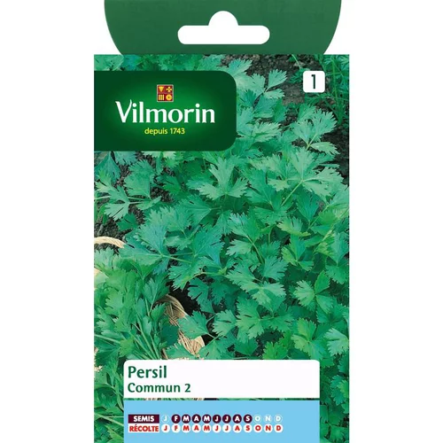 Graines de persil commun Vilmorin - graines à semer
