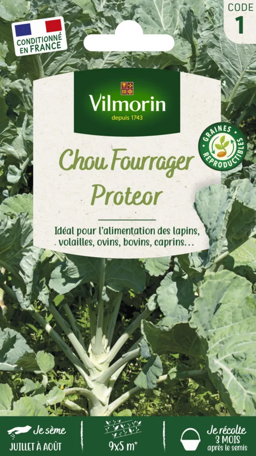 Chou Fourrager Proteor Vilmorin - graines à semer