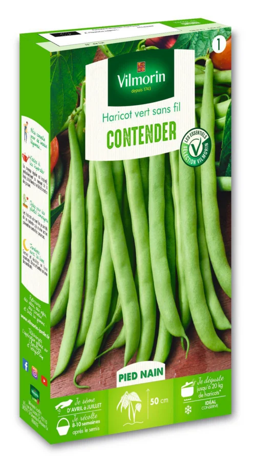 Haricot Vert Contender Vilmorin - graines à semer
