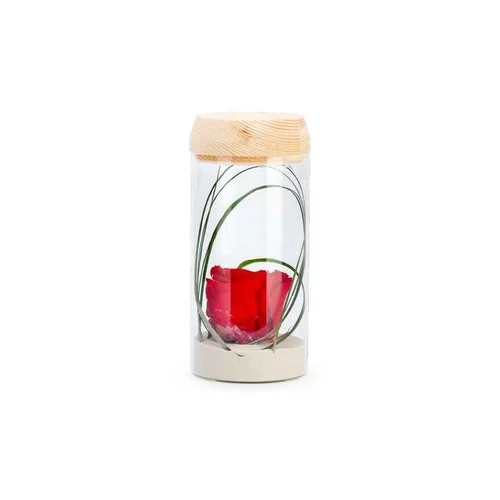Verrine tube light rouge taille S Ø 8 x H 18 cm