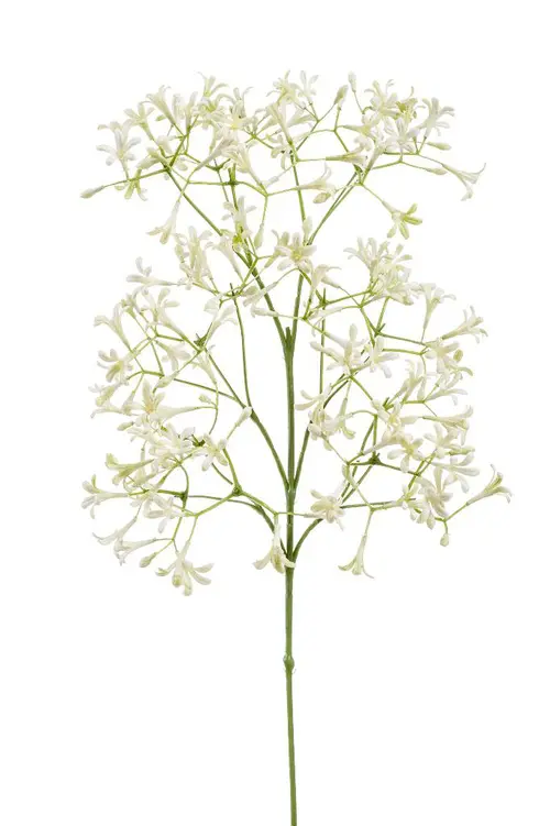 Tige de Saxifraga artificielle crème - 20 x 9 x 63 cm
