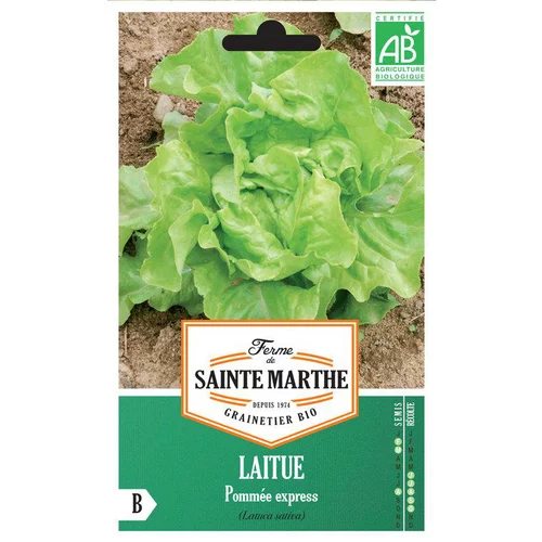 Graines de laitue pommée express bio Ferme de Sainte Marthe - graines à semer