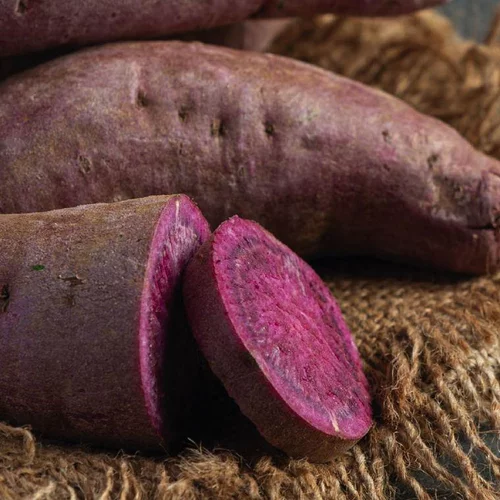 Patate Douce Sakura Bio. Le pot de 1 litre