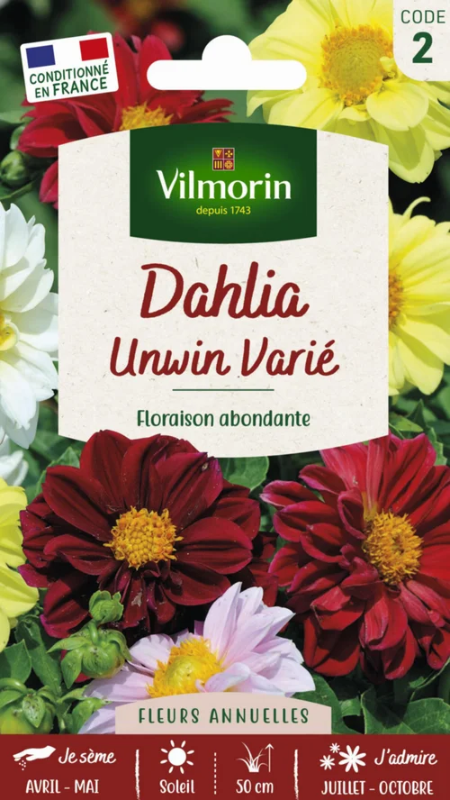 Dahlia Unwin Varié Vilmorin - graines à semer