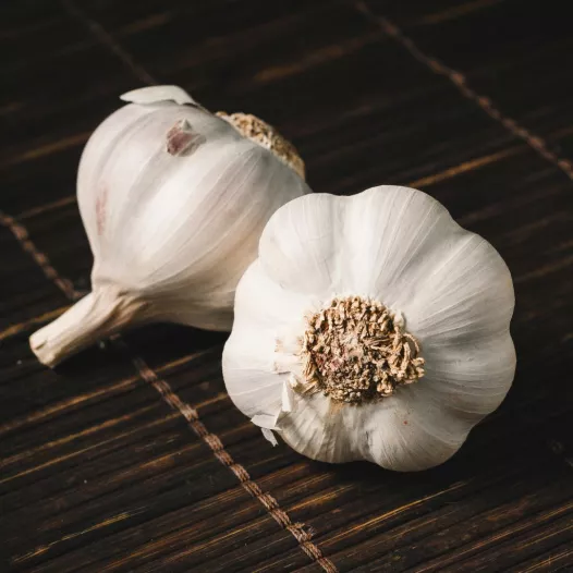 Bio plantgoed van Knoflook roos lente Clédor - 1 bol