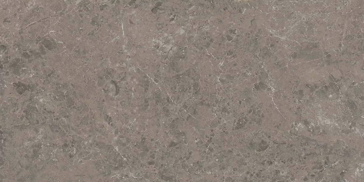 Carrelage effet Marbre Gris Impérial 120x60x0 – 9 cm Brillant Orsiano | Sol et mur intérieur (vendu par carton de 1 | 44 m²) | RO'MA C
