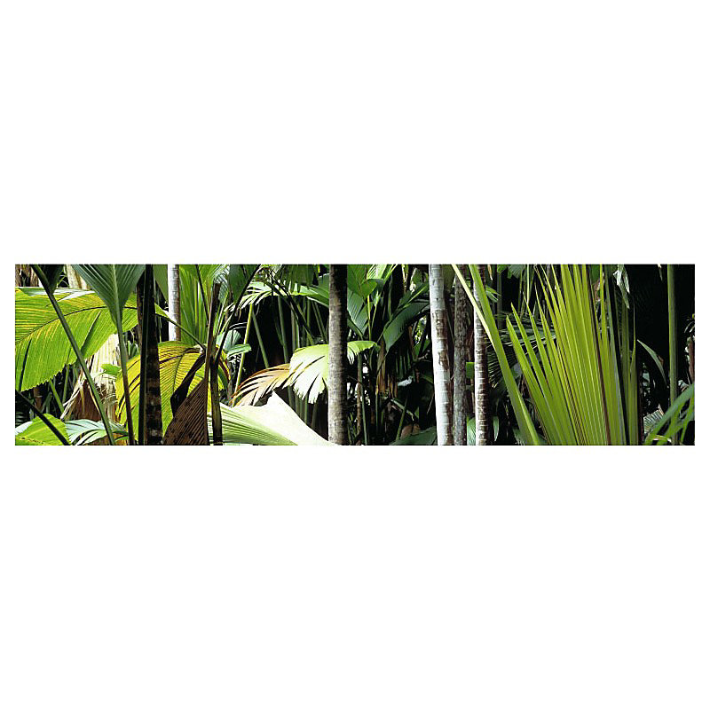 Brise vue JUNGLE luxuriante – H.0.8 x L.3 m | 100% occultant | Made in France par Scenolia + kit de fixation offert