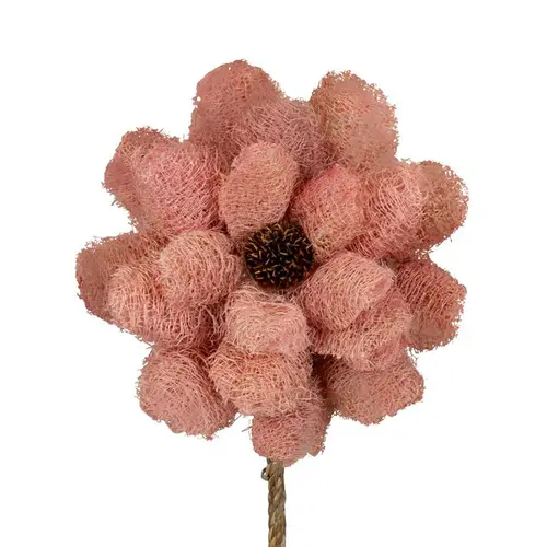 Fleur de luffa nature rose - Ø 15 x H 75 cm