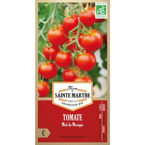 Graines de tomate miel du Mexique bio Ferme de Sainte Marthe - graines à semer