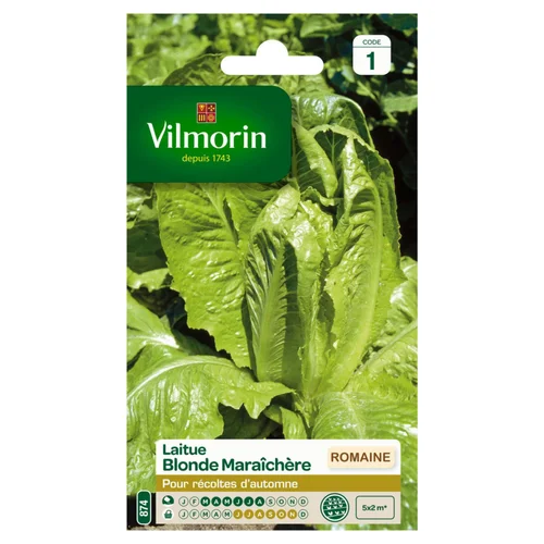 Laitue Romaine Blonde Maraîchère Vilmorin - graines à semer