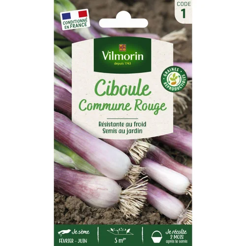 Sachet de graines de ciboule commune rouge