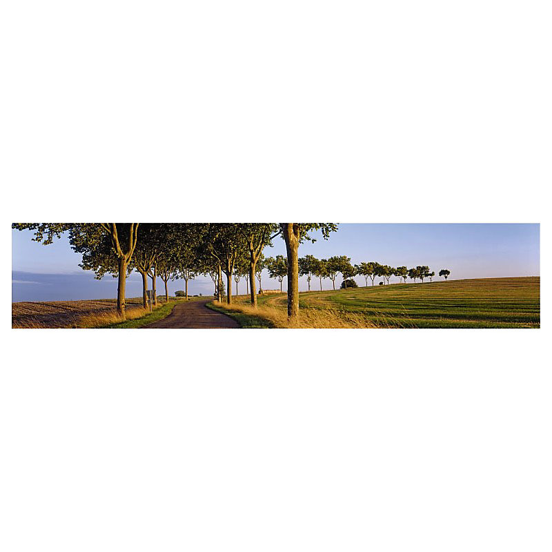 Brise vue imprimé ROUTE DANS L AUBE – H.1 x L.5 m, 100% occultant, Made in France par Scenolia + kit de fixation offert