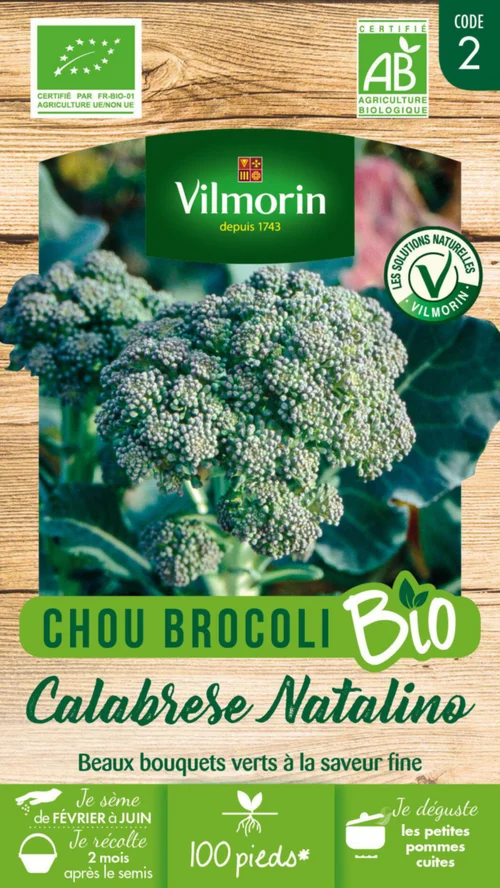 Chou Brocoli Calabrese Natalino Bio Vilmorin - graines à semer