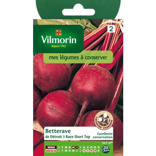 Graines de Betterave de détroit short top Vilmorin - graines à semer