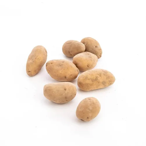 Pommes de terre bio Ditta de France – Prix au kg