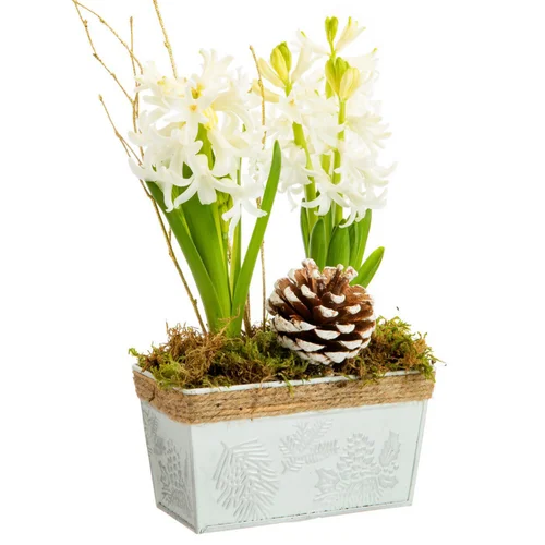 Jardinette de 2 jacinthes en zinc blanc