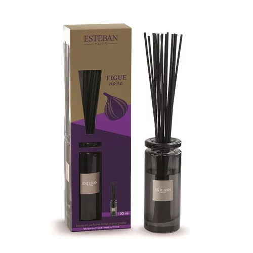 Bouquet parfumé initial + recharge senteur figue noire Esteban - 100 ml