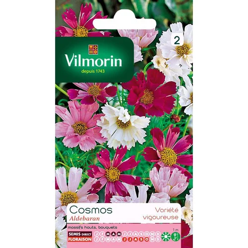Graines de Cosmos Aldebaran varié Vilmorin - graines à semer