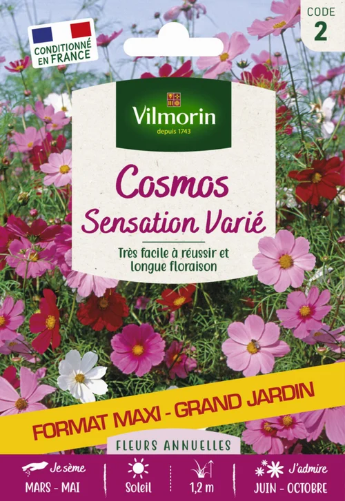 Cosmos Sensation variée Grand jardin Format maxi Vilmorin - graines à semer