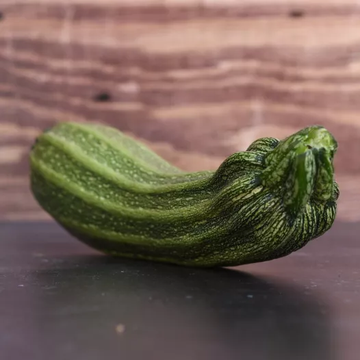 Biologische zaden van Courgette Costata Romanesco