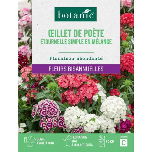Graines de fleurs d'Œillet de poète étournelle simple en mélange botanic®