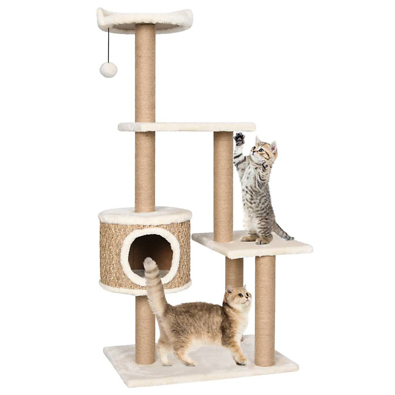 Arbre à chat avec griffoirs 123 cm Herbiers marins | Chat