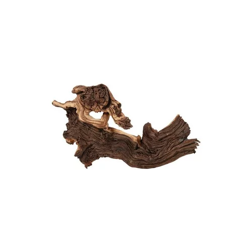 Racine Maupani en bois naturel marron taille L 20,5x12x9 cm