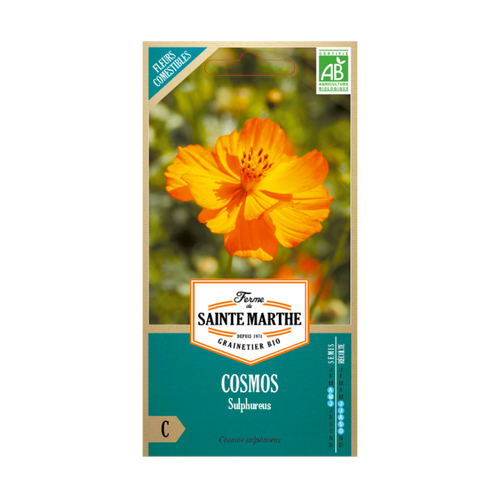 GRAINES COSMOS SULPHUREUS BIO