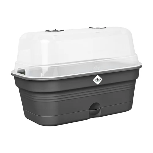 Plateau de culture en plastique recyclé coloris living noir avec couvercle serre Elho Green Basics Allin1 taille M - 18 x 32 x 13,2 cm