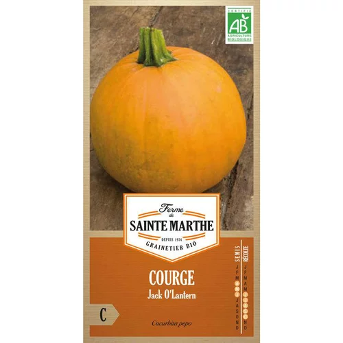 Graines de courgette jack O lanterne bio Ferme de Sainte Marthe - graines à semer
