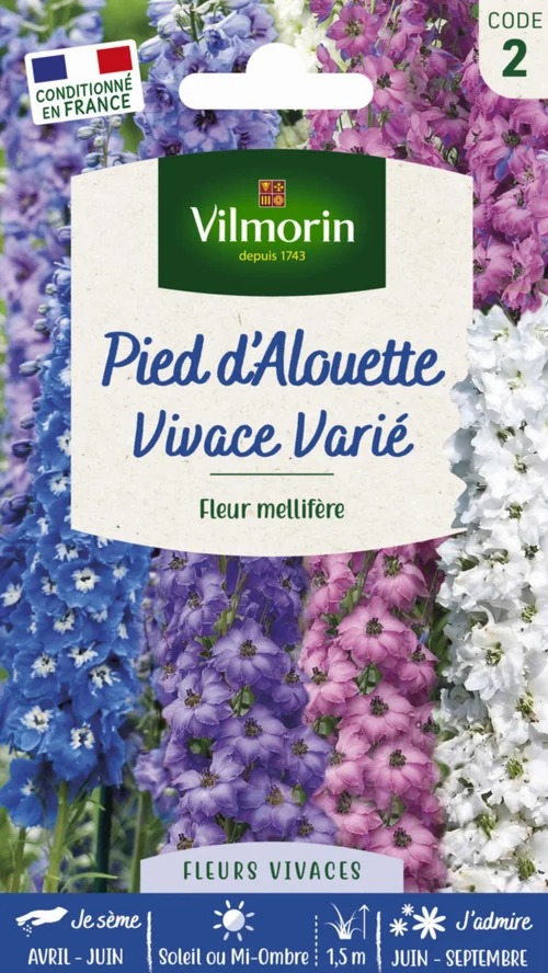 Graines de Pied d’Alouette vivace varié Vilmorin - graines à semer