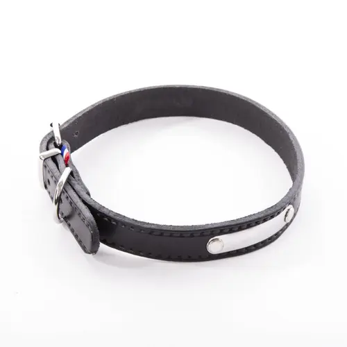 Collier pour chien en cuir coloris noir Martin Sellier Rive - Taille 20/50