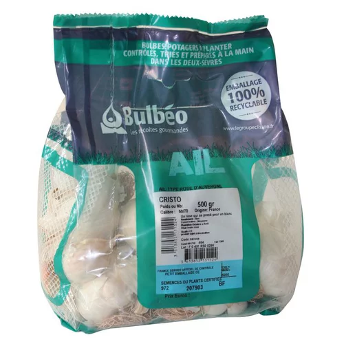 Bulbes d’ail rose cristo calibre 50+, 500 g