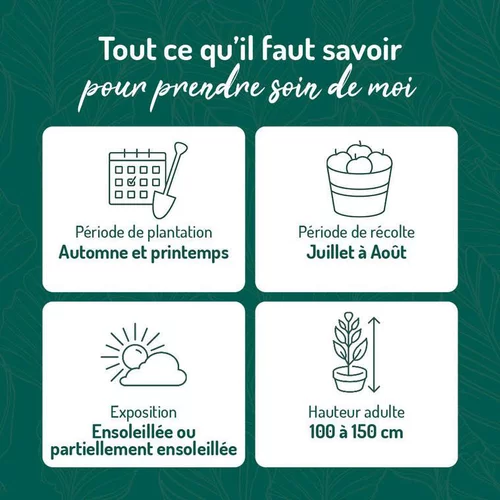 Myrtille Brigitta Blue Bio. Le pot de 2 litres