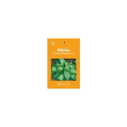 Graines de mâche ronde maraîchère sélection premier prix - graines à semer