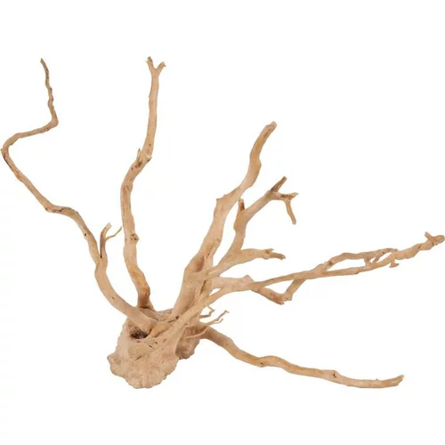 Décoration naturelle pour aquarium et terrarium coloris marron Zolux racine araignée – 10 à 30 cm
