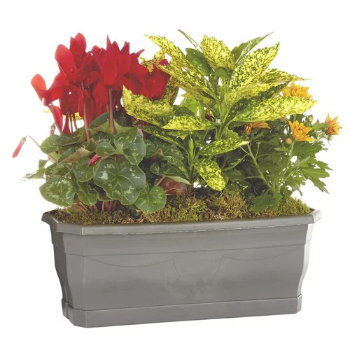 Composition d'extérieur mélange orange rouge - La jardinière de 40 cm