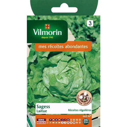 Laitue Sagess Vilmorin - graines à semer